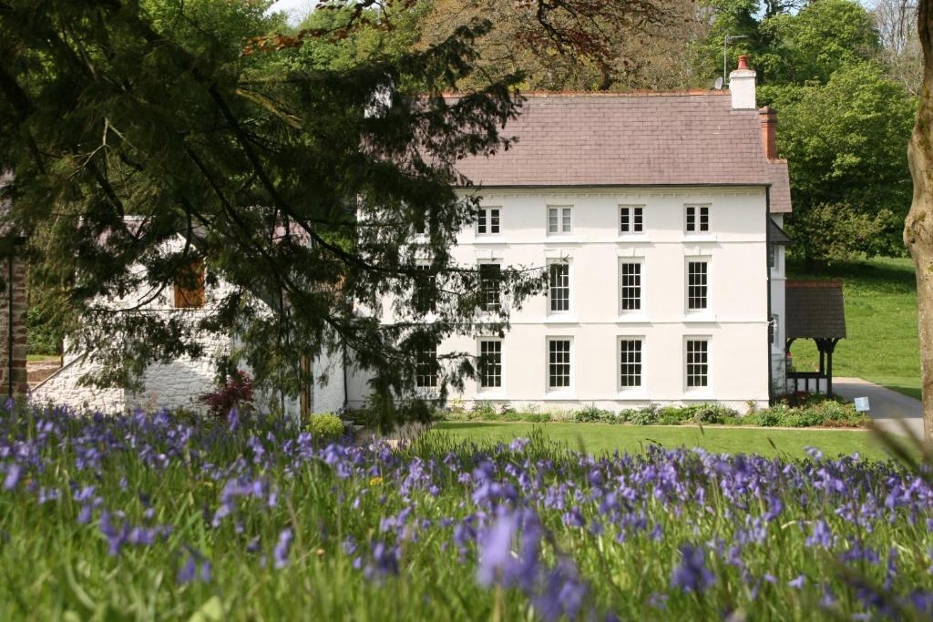 Grove Of Narberth Hotel Bagian luar foto