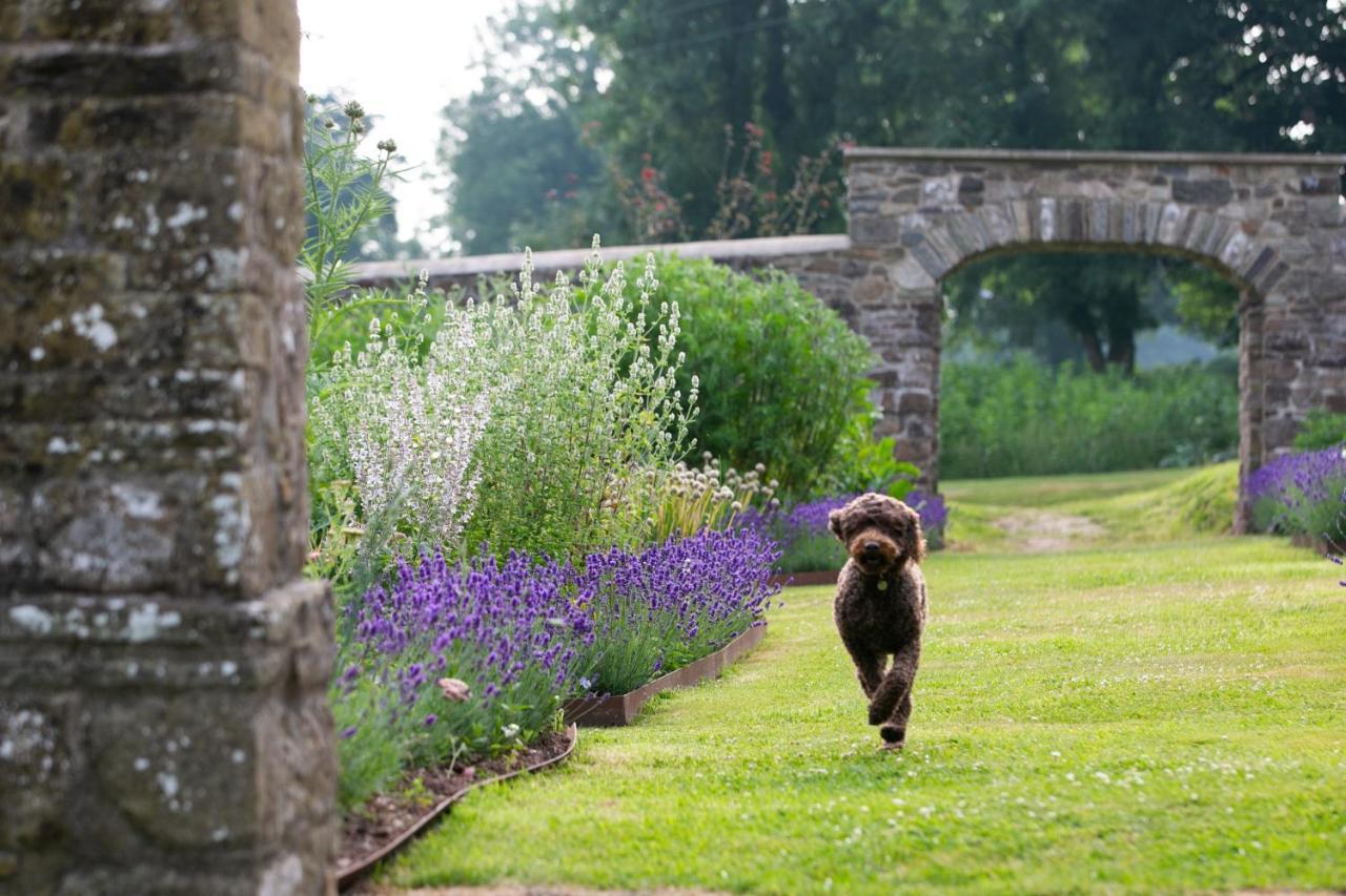 Grove Of Narberth Hotel Bagian luar foto